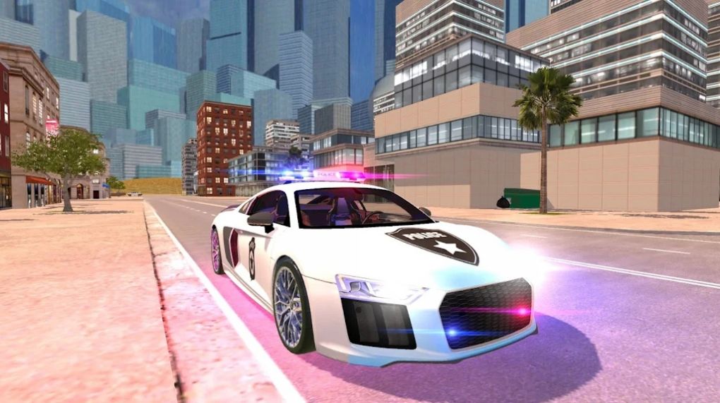 R8警察模拟器2021游戏截图