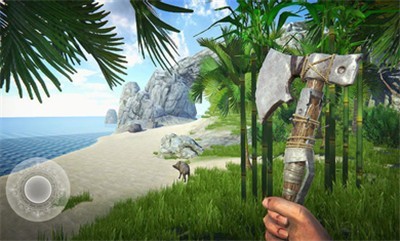 最后的海盗岛屿生存游戏截图