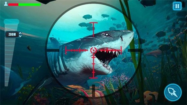 幸存者鲨鱼游戏截图